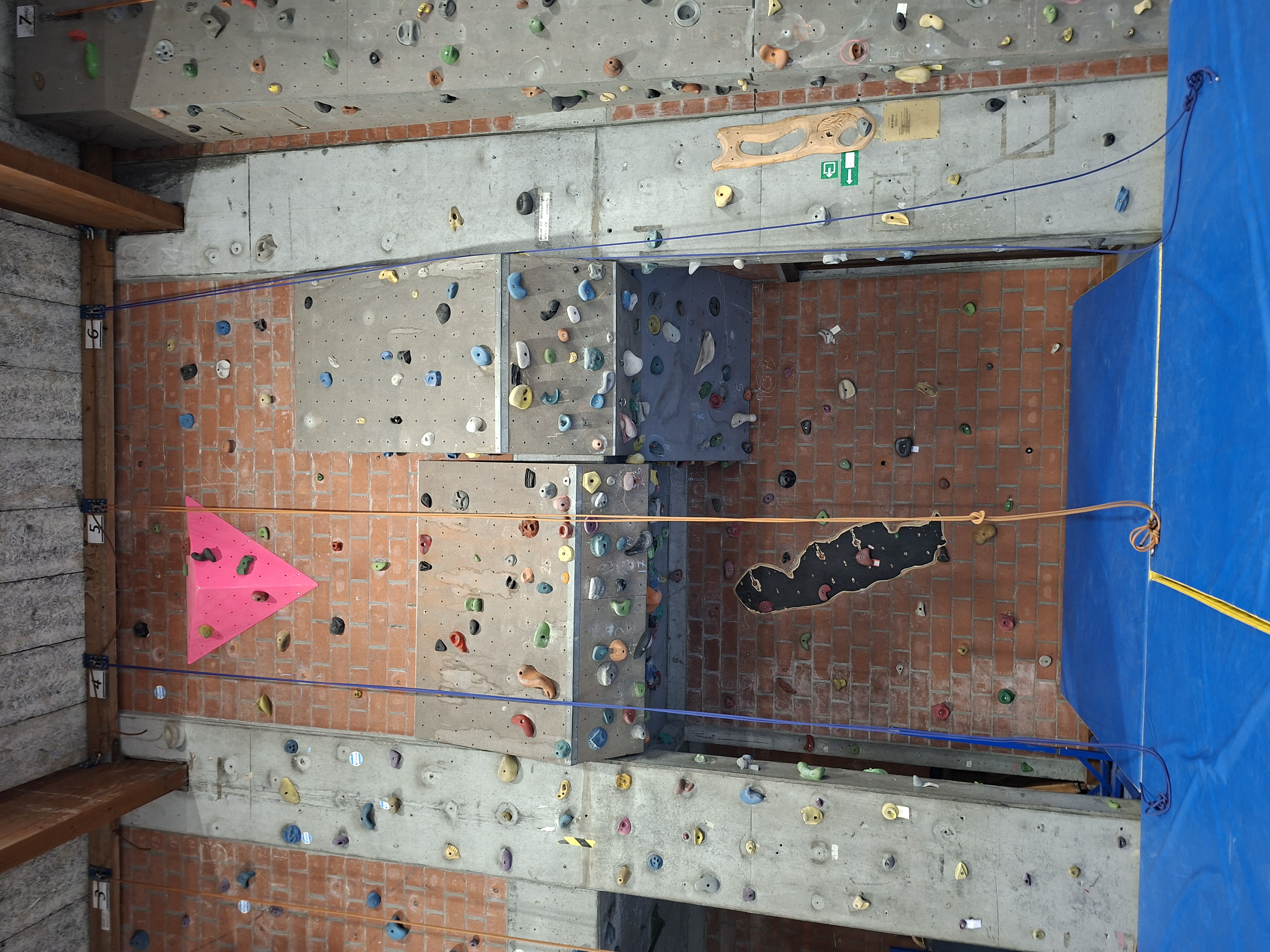 Entraînement